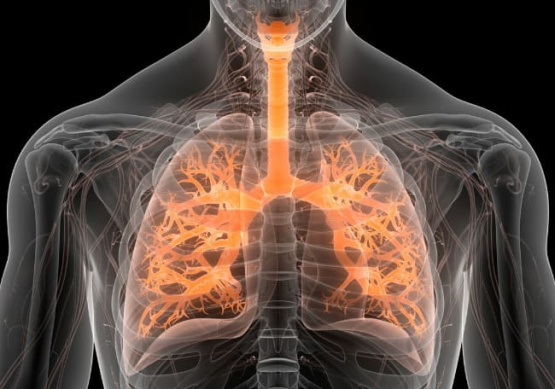 Sarcoidosis: La Enfermedad Silenciosa que Podrías Tener sin Saberlo