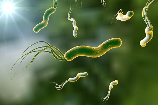 La bacteria silenciosa que podría estar en tu estómago y cómo evitar sus peligros